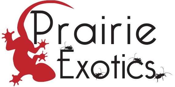 Prairie Exotics