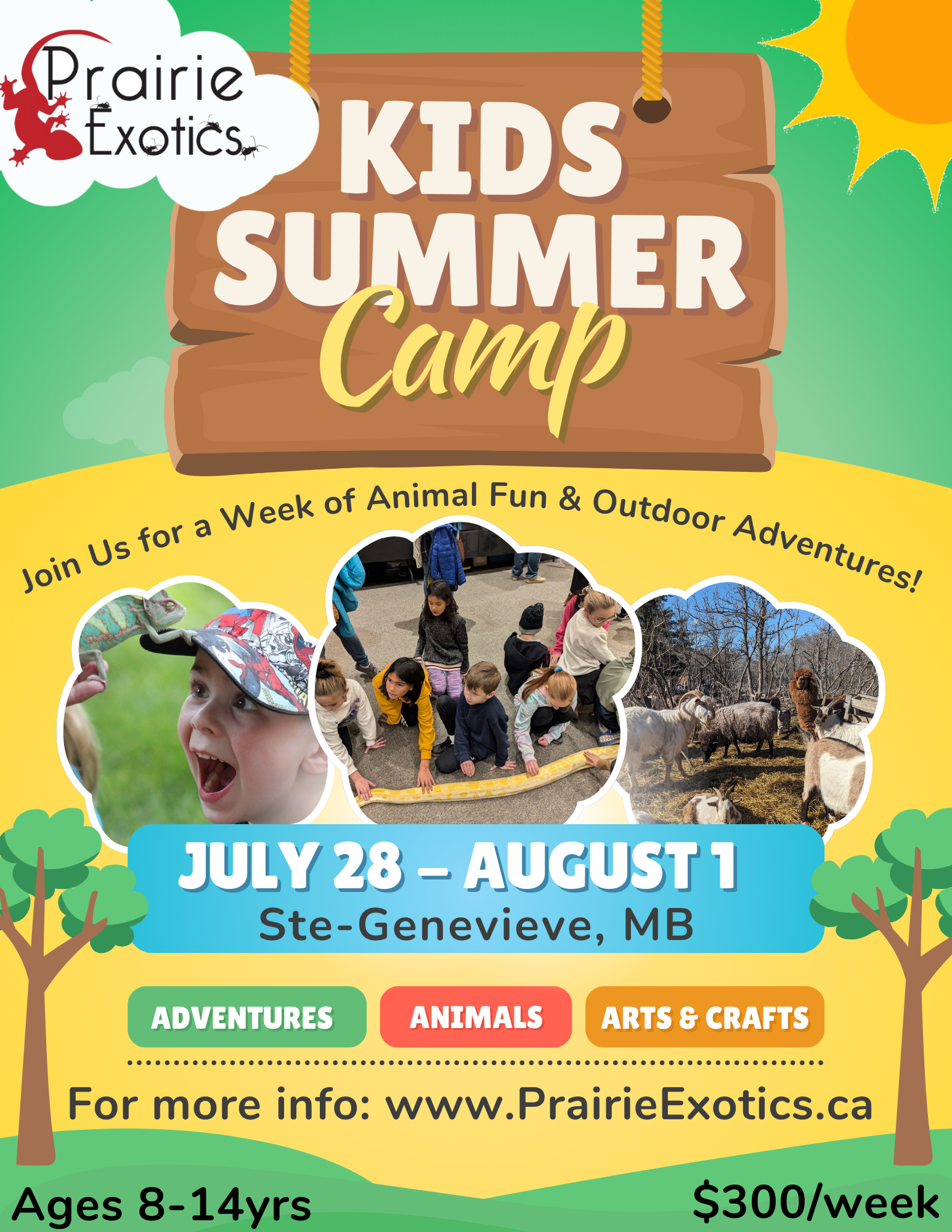Summer Camp